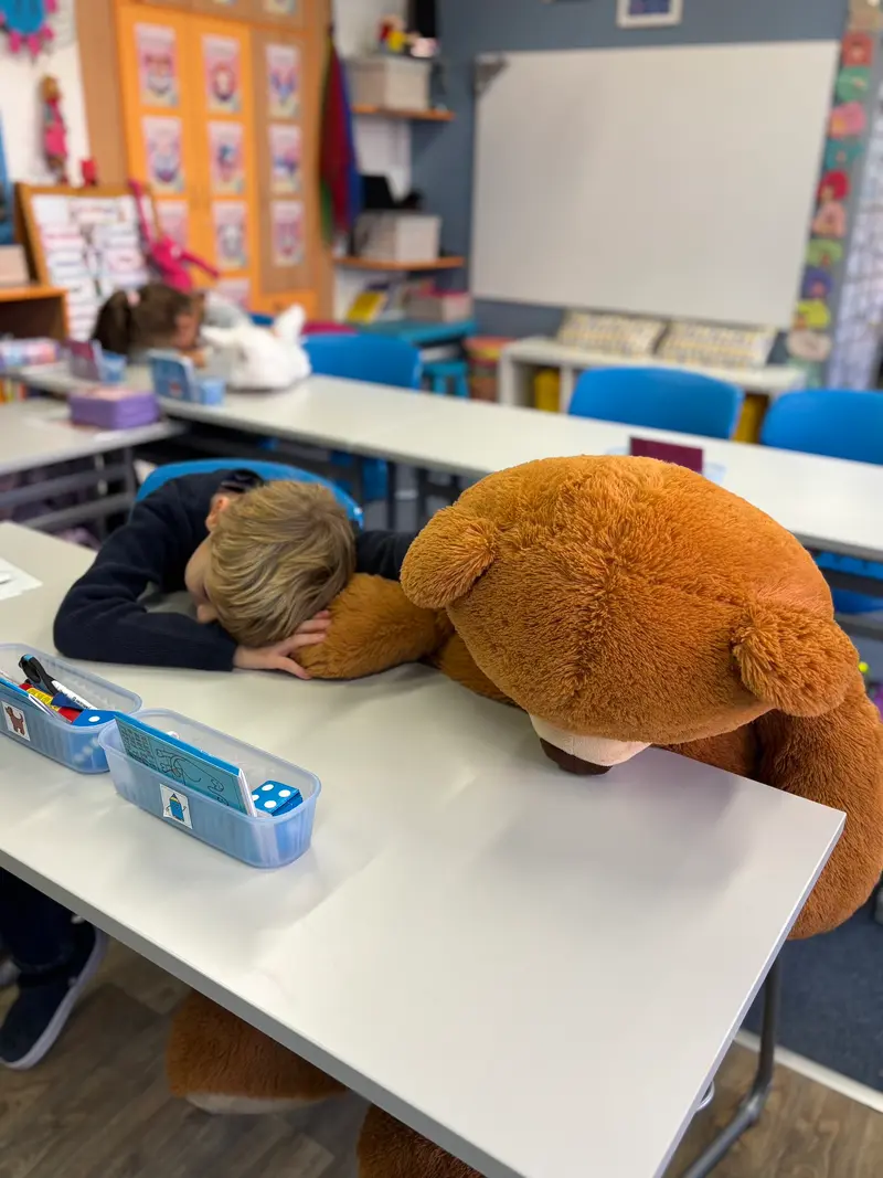 Hug a Bear Day ve druhé třídě