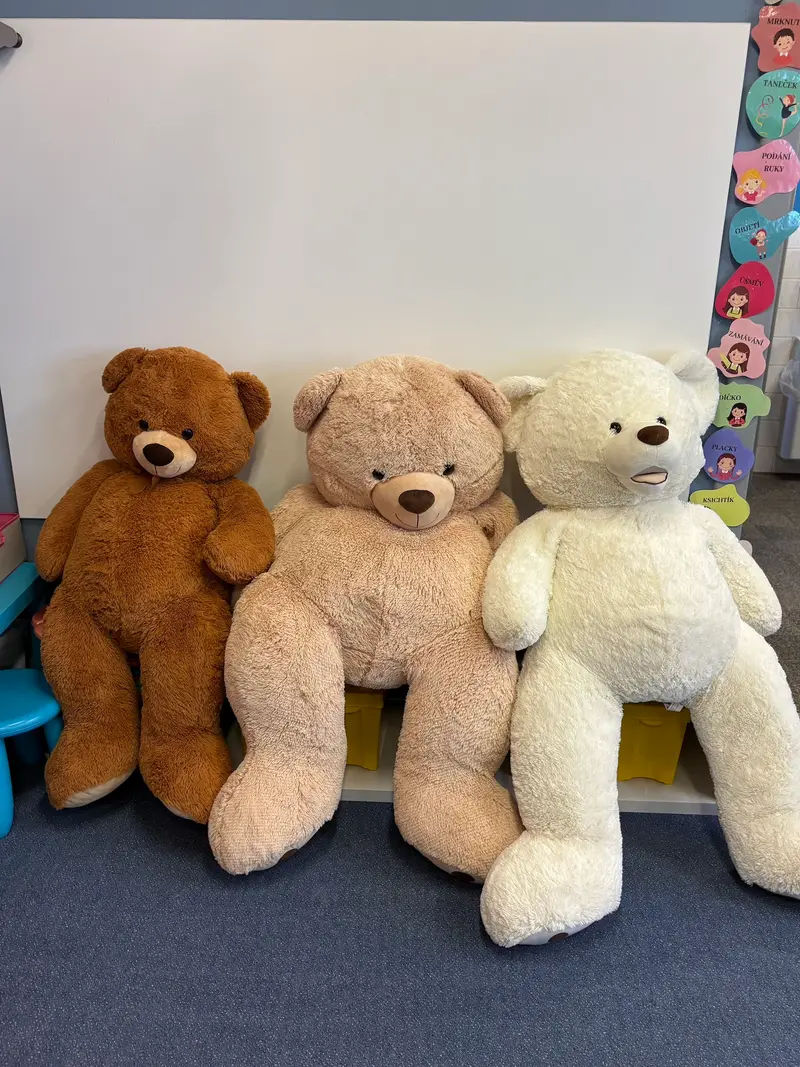Hug a Bear Day ve druhé třídě