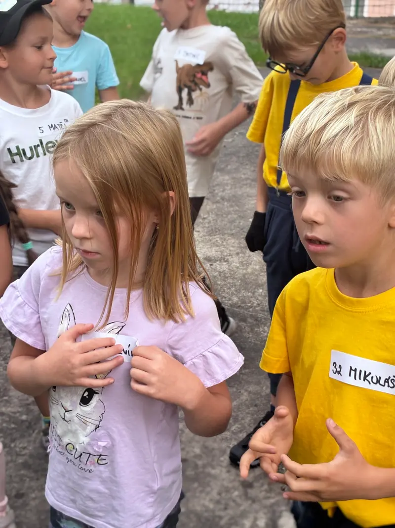 Stmelovací kurz